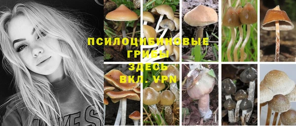кокаин перу Алзамай